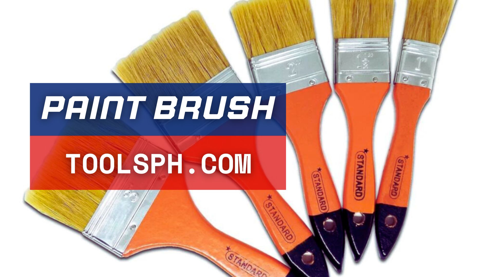 Paint-Brush