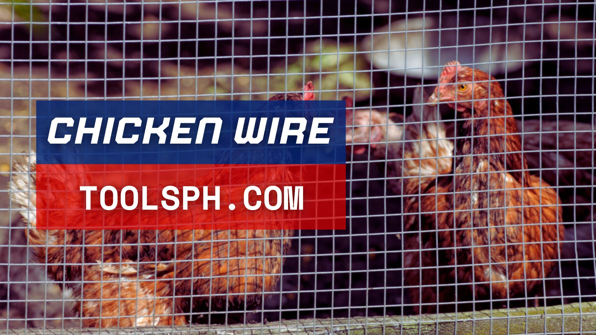 Chicken-Wire